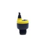 Flowline Multi Function Ultrasonic Transmitter Ultrasonic Level Sensor, Vertical Mount, Viton Gasket, Polycarbonate DL14-11