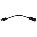 RS PRO HDMI Adapter Female Straight DisplayPort to HDMI Adapter 150mm Cable 195-4279