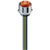Lumberg Automation Female 4-Way Receptacle to Circular Connector 1.7 m Cable Length 230V IP68 97890 RKF 40/11-02/1,7 M