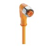 Lumberg Automation Female 4 Way Right Angle to Unterminated Free End Sensor Actuator Cable 250V 10m 13584 PRKWT 4-07/10 M