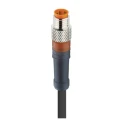 Lumberg Automation Sensor Actuator Cable Male 4 Way Straight to Unterminated 2m 30V 4A RSMV 43748 RSMV 4-225/2 M