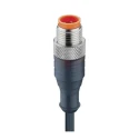 Lumberg Automation Sensor Actuator Cable Male 4 Way Straight to Female Unterminated 230V 4A Polyurethane 43703 RST 3-224/2 M