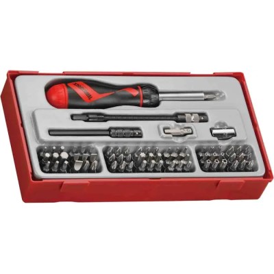 Teng Tools Hex, Torx, Slotted, Phillips Screwdriver Bit Set 74 Pieces 25 mm 50 mm Overall Length 6.35 mm Drive Size TTMD74