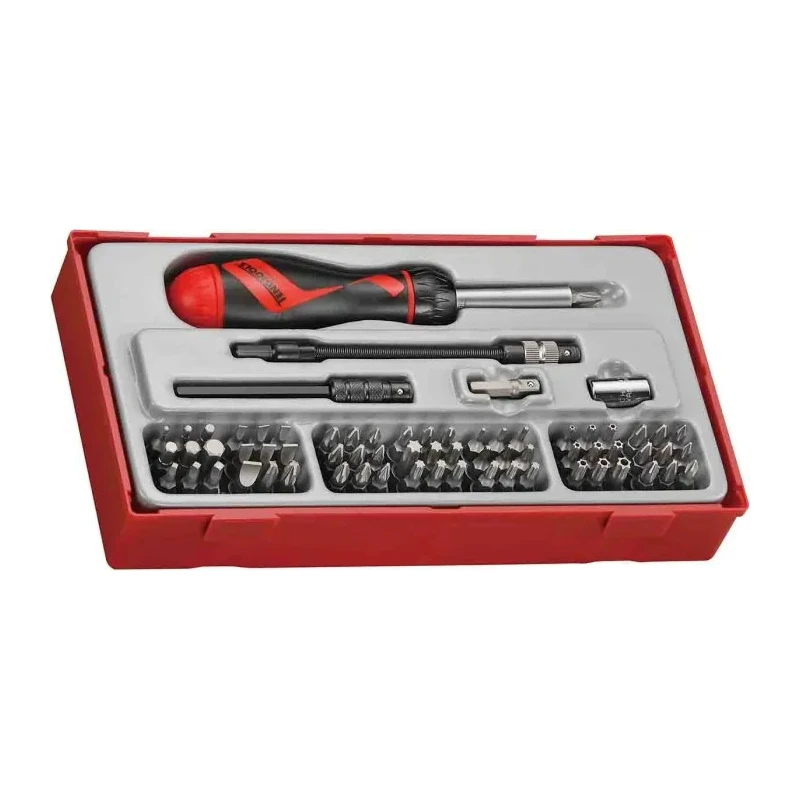 Teng Tools Hex, Torx, Slotted, Phillips Screwdriver Bit Set 74 Pieces 25 mm 50 mm Overall Length 6.35 mm Drive Size TTMD74
