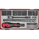 Teng Tools Hex, Torx, Slotted, Phillips Screwdriver Bit Set, 84 Pieces, Alloy Steel, 50mm Length, 6.35 mm Drive Size TTMDR84
