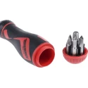 Teng Tools Ratcheting 1/4 in Hex Phillips, Pozidriv, Slotted Ratchet Screwdriver Set 175mm MDR908