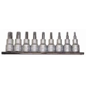 Teng Tools 9-Piece 3/8 in Drive Regular TPX Bit Socket Set Chrome Vanadium Steel Satin Finish M3813TPX