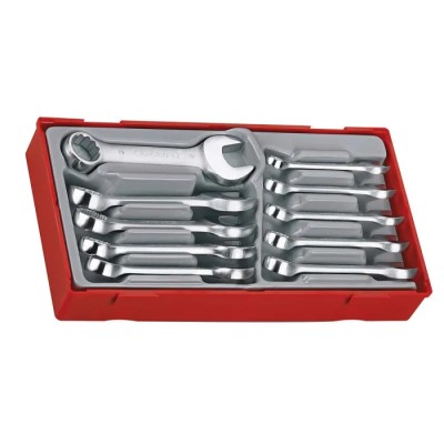 Teng Tools 10-Piece Ring Spanner Set, Sizes 10 to 19 mm, Chrome Vanadium Steel, Satin Finish TT6010M