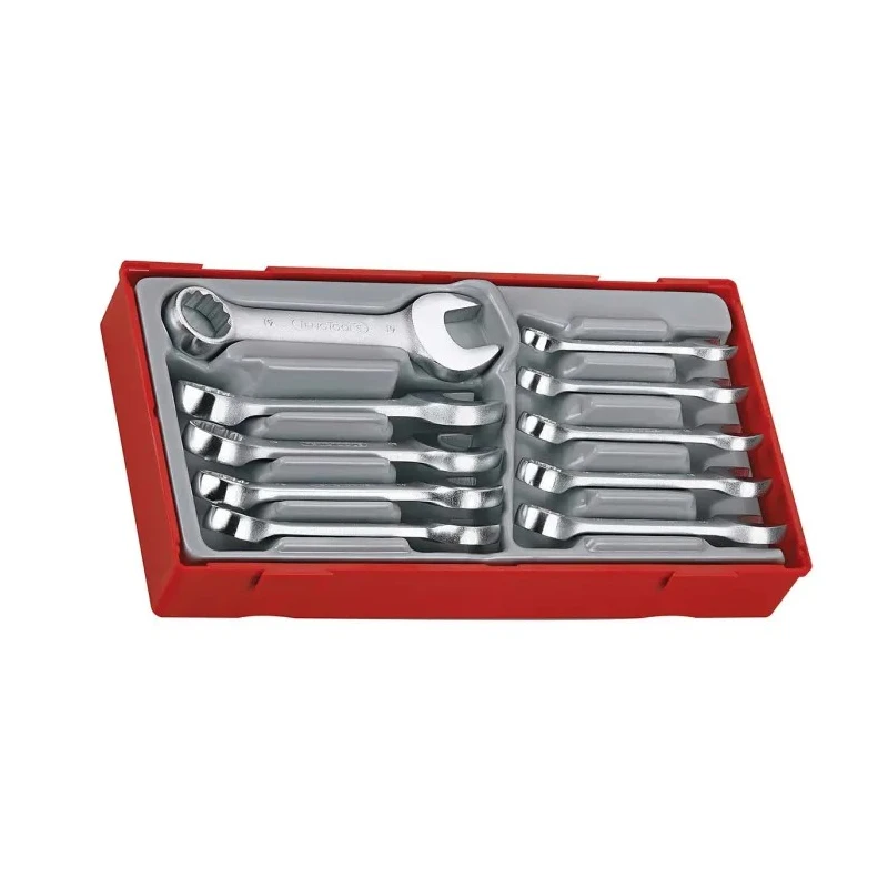 Teng Tools 10-Piece Ring Spanner Set, Sizes 10 to 19 mm, Chrome Vanadium Steel, Satin Finish TT6010M
