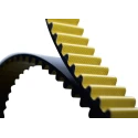 Contitech High-Performance Timing Belt CTD 1120-8M-12 140 Teeth, 1.12 m Length, 12 mm Width