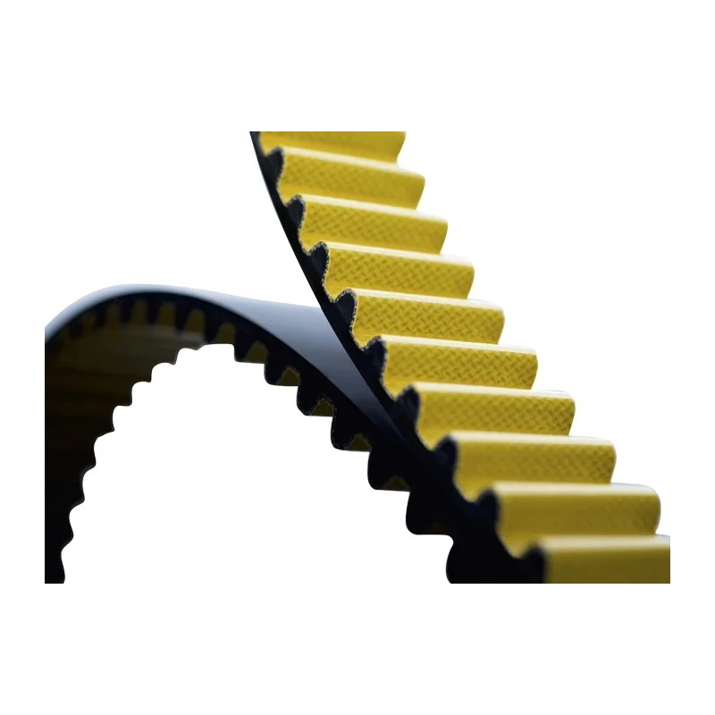 Contitech High-Performance Timing Belt with 160 Teeth, 1.28 m Length, 21 mm Width, Aramid Cord, Fabric and CTD 1280-8M-21