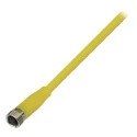 BALLUFF Sensor Actuator Cable Female 4 Way Straight to 4 Way Unterminated, 5 m, Polyvinyl Chloride Jacket, 30V AC BCC0543