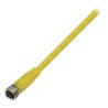 BALLUFF Sensor Actuator Cable Female 4 Way Straight to 4 Way Unterminated, 5 m, Polyvinyl Chloride Jacket, 30V AC BCC0543