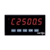 Red Lion Preset Timer Display Unit 6 Digit 14.2 mm LED Sunlight Readable Reset Manual 85-250VAC PAXTM000