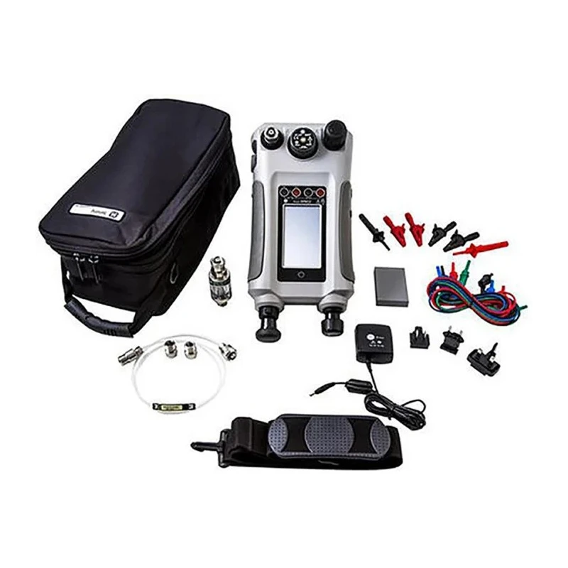 Druck Pressure Calibrator 0 bar to 100 bar Gauge Pressure, Rechargeable Battery, LCD Display DPI612-PFP-100G