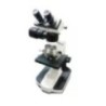 Droplet Binocular Metallurgical Microscope With Frequency 50 Hz MM 500T
