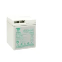 Yuasa 6 V Sealed Lead Acid Battery, 100 Ah, AGM Construction, M8 Male Terminal EN100-6