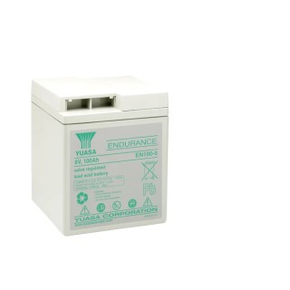 Yuasa 6 V Sealed Lead Acid Battery, 100 Ah, AGM Construction, M8 Male Terminal EN100-6