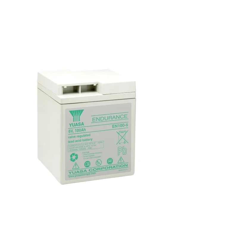 Yuasa 6 V Sealed Lead Acid Battery, 100 Ah, AGM Construction, M8 Male Terminal EN100-6
