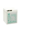 Yuasa 6 V Sealed Lead Acid Battery, 100 Ah, AGM Construction, M8 Male Terminal EN100-6