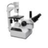 Droplet Trinocular Inverted Tissue Culture Microscope IM 40 T