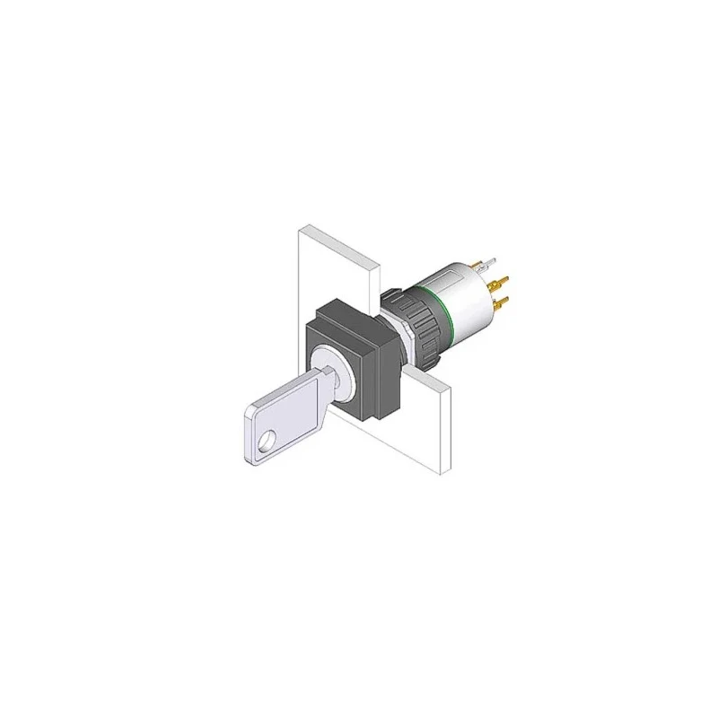 EAO IP65 Key Switch, 1 NO/1 NC Contact Configuration, 100mA Current, 42V AC/DC, Screw Terminal, Rectangular Bezel IP65 
