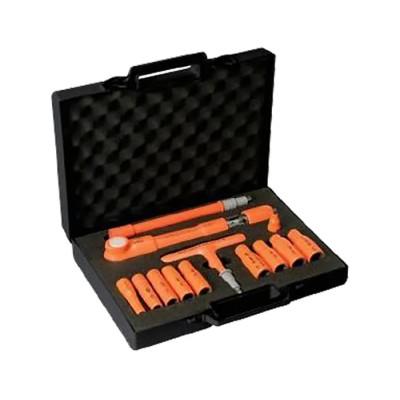 Penta Mechanical Torque Wrench Set, 8 To 50 Nm Torque Range, 3/8 in Hex Drive, 315mm Overall Length MS100V02
