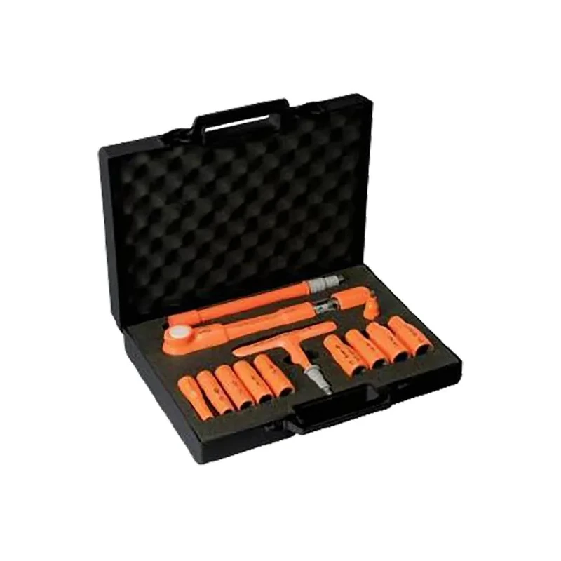 Penta Mechanical Torque Wrench Set, 8 To 50 Nm Torque Range, 3/8 in Hex Drive, 315mm Overall Length MS100V02