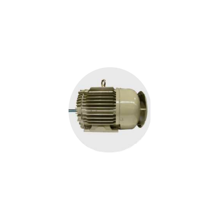 crompton-ginning-application-tefc-tb-on-rhs-from-de-3hp-4-pole-motors-ns100l-51378