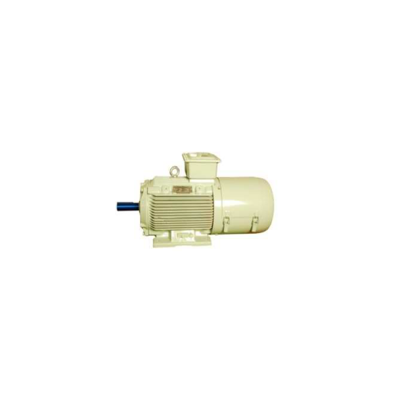 crompton-3-phase-4-hp-4-pole-foot-mounted-slip-ring-induction-motor-dw132s-48704-1