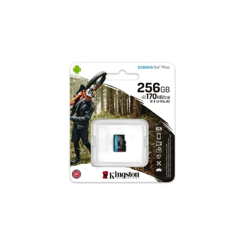 Kingston 256 GB MicroSDXC Memory Card Class 10 SDCG3/256GBSP