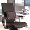 Fellowes Black Foam Back Support Lumbar Office Chair Cushion Adjustable Straps 8026501