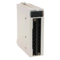 Schneider Electric PLC I/O Module Modicon X80 Analogue Rack Mount 24V DC BMXAMM0600
