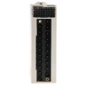 Schneider Electric PLC I/O Module Modicon X80 Analogue Rack Mount 24V DC BMXAMM0600