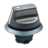Schmersal 2 Position Selector Switch Head IP67, Short Toggle, ABS Operator, Chrome-Plated Front Ring NWS21GR