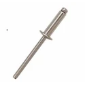 RS PRO Stainless Steel Dome Head Blind Rivet 4.8 mm Diameter, 12 mm Length, Grip 6-8 mm, DIN 7337 206-7761