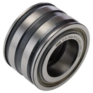 INA Double Row Full Complement Cylindrical Roller Bearing 30 mm ID, 55 mm OD, Sealed, 4100 RPM SL045006-PP