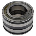 INA Double Row Full Complement Cylindrical Roller Bearing 30 mm ID, 55 mm OD, Sealed, 4100 RPM SL045006-PP