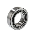 SKF Cylindrical Roller Bearing 25 mm Inside Diameter 47 mm Outside Diameter NU 1005