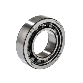 SKF Cylindrical Roller Bearing 25 mm Inside Diameter 47 mm Outside Diameter NU 1005