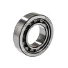 SKF Cylindrical Roller Bearing 25 mm Inside Diameter 47 mm Outside Diameter NU 1005