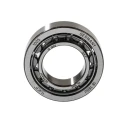 SKF Cylindrical Roller Bearing 25 mm Inside Diameter 47 mm Outside Diameter NU 1005