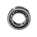 SKF Cylindrical Roller Bearing 25 mm Inside Diameter 47 mm Outside Diameter NU 1005