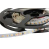 Intelligent Horticultural Solutions 24V dc White LED Strip 5500K Colour Temperature 2m Length IHX-NH08-WW08-2000-SD201