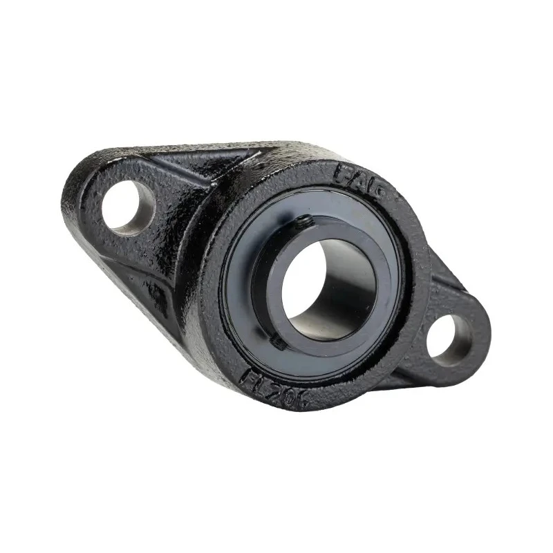 FAG 2 Hole Bearing Unit Cast Iron Flange Bearing UCFL206-J7 30 mm ID
