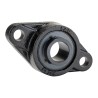 FAG 2 Hole Bearing Unit Cast Iron Flange Bearing UCFL206-J7 30 mm ID