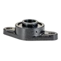 FAG 2 Hole Bearing Unit Cast Iron Flange Bearing UCFL206-J7 30 mm ID