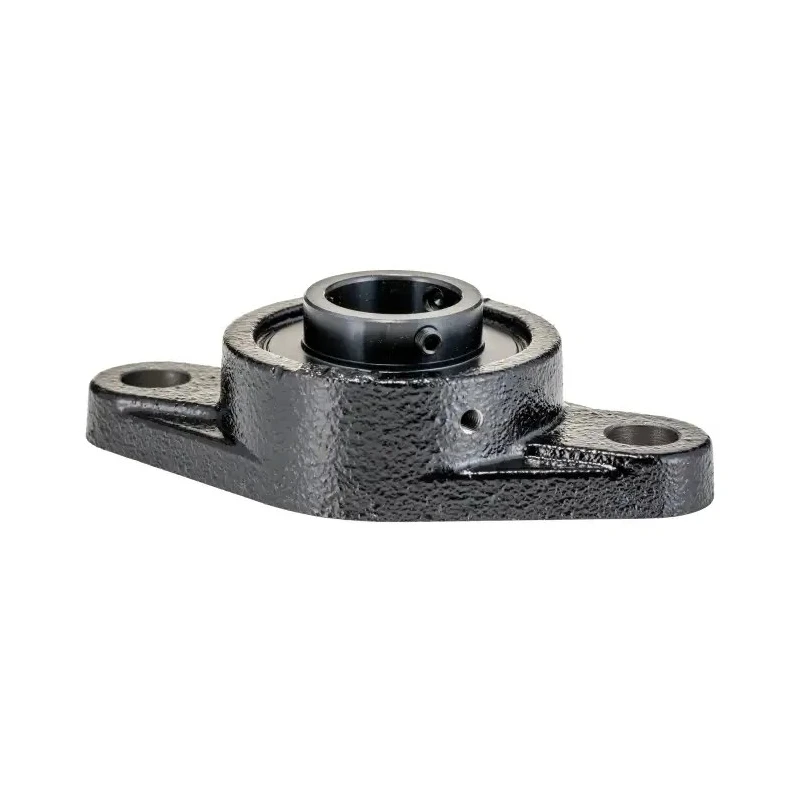 FAG 2 Hole Bearing Unit Cast Iron Flange Bearing UCFL206-J7 30 mm ID