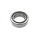 INA 65 mm ID 100 mm OD Roller Bearing SL183013-A-XL