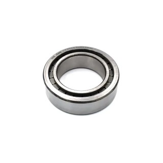 INA 65 mm ID 100 mm OD Roller Bearing SL183013-A-XL